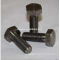 Hex Bolts